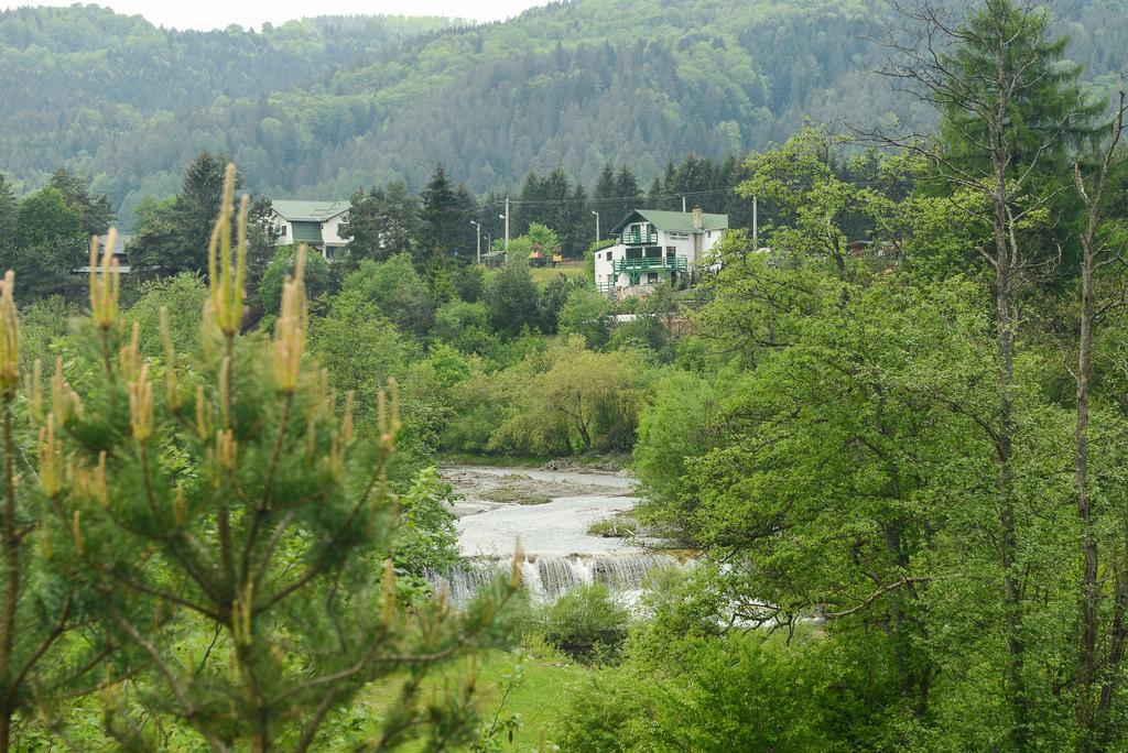Vila Horia Bradet Săcele エクステリア 写真