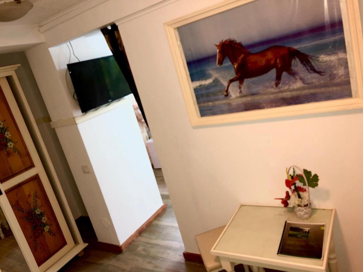 Vila Horia Bradet Săcele エクステリア 写真